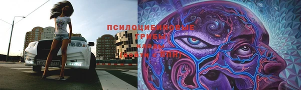 гидра Надым
