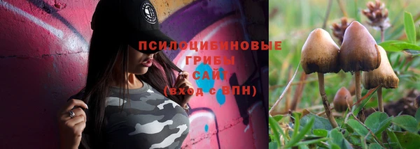 гидра Надым