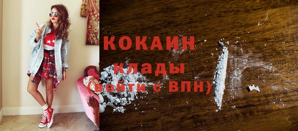 гидра Надым