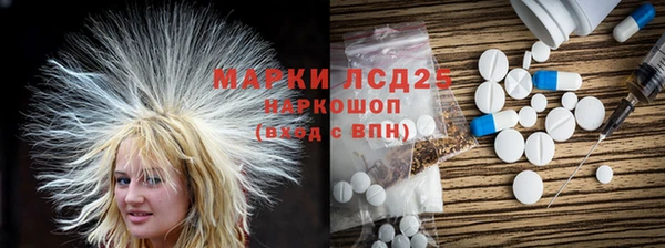 гидра Надым