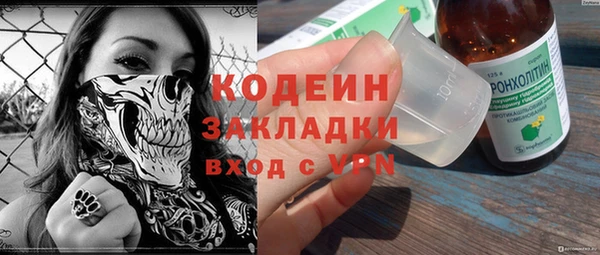 трава Инта