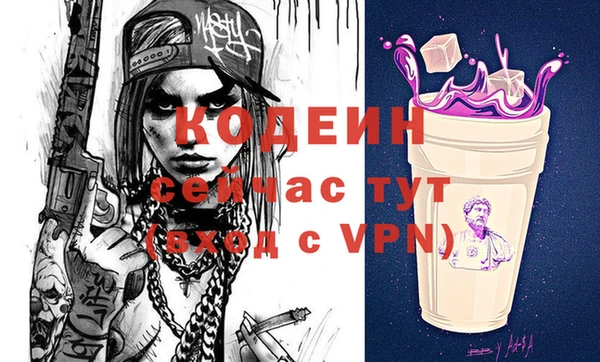 гидра Надым