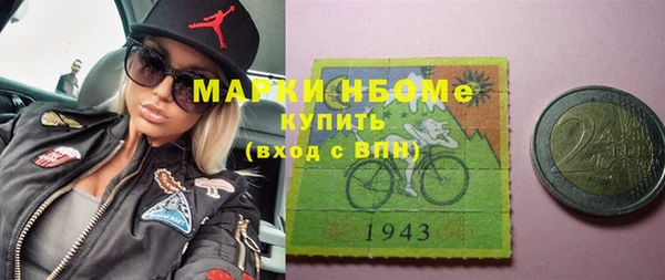 гидра Надым