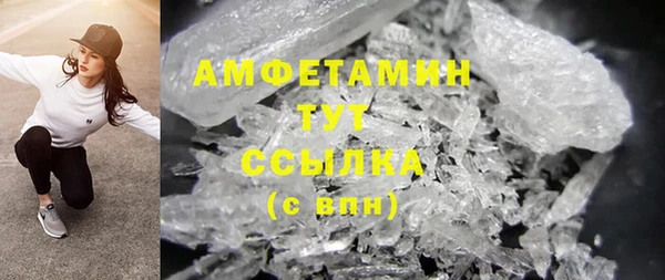 гидра Надым