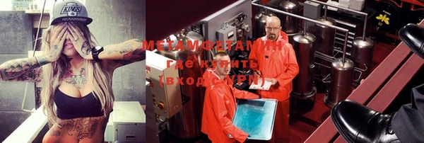 гидра Надым