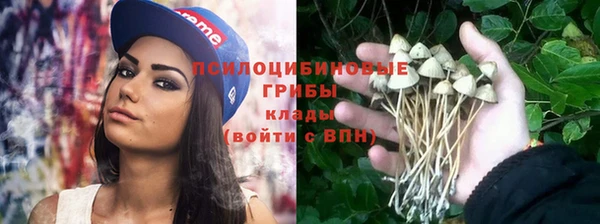 дмт Инсар