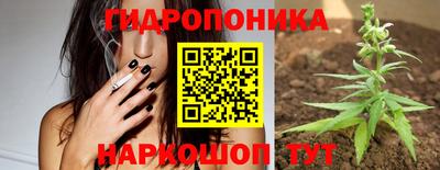mdma Гатчина