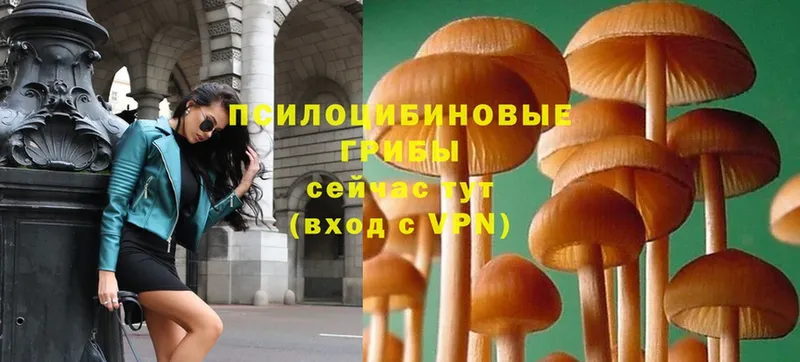 Галлюциногенные грибы MAGIC MUSHROOMS  Заречный 