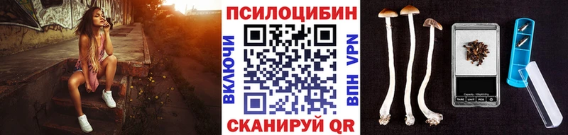 Галлюциногенные грибы Psilocybine cubensis Заречный