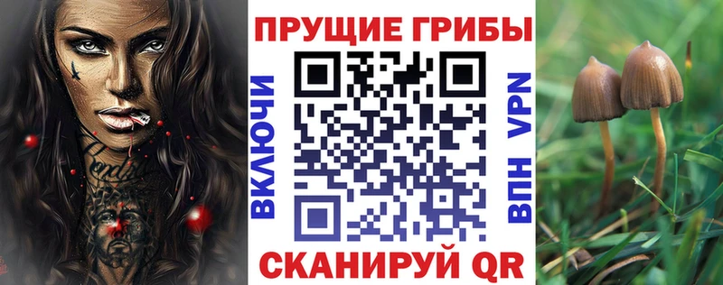 Псилоцибиновые грибы Magic Shrooms  Заречный 