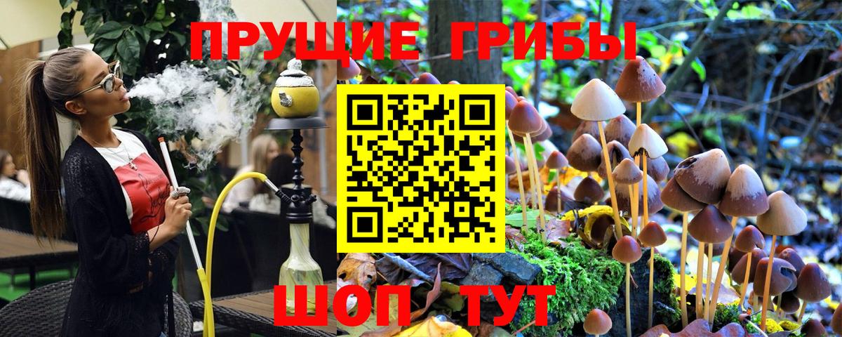 Заречный  Галлюциногенные грибы Cubensis  Вход с VPN  Галлюциногенные грибы MAGIC MUSHROOMS 